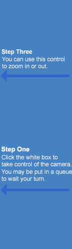Instructions - Step One